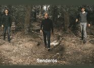 Hudební kompas – katalánské Madera Viva Trío