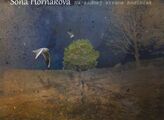 Na zadnej strane hodiniek – nové album Soni Horňákové